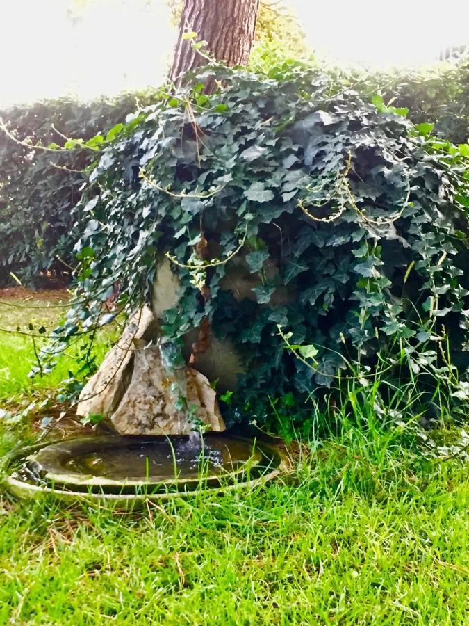 Ilpoggetto Bed&Breakfast 시비타노바 마르셰 외부 사진